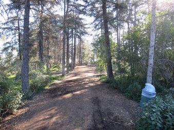 Enlarge photo 10