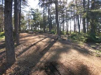 Enlarge photo 11