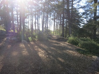 Enlarge photo 12