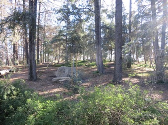 Enlarge photo 13