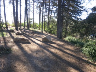 Enlarge photo 14