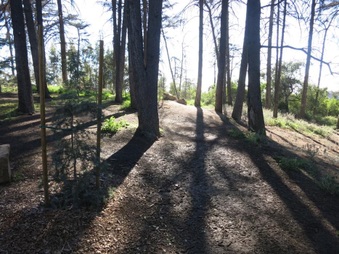 Enlarge photo 15