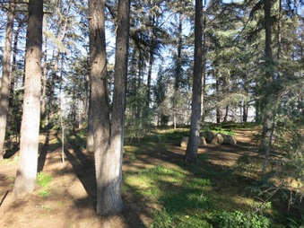 Enlarge photo 17