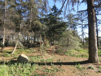 Enlarge photo 18