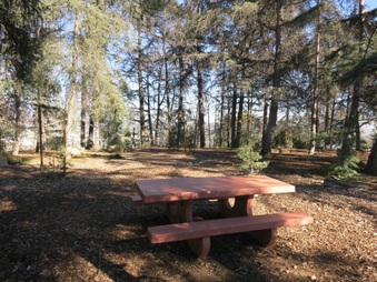 Enlarge photo 20