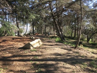 Enlarge photo 21
