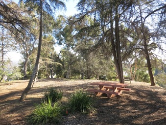 Enlarge photo 22