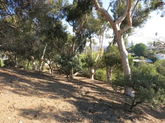 Enlarge photo 26