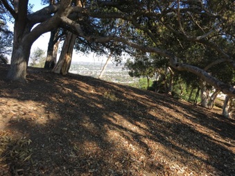 Enlarge photo 27