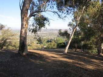 Enlarge photo 28
