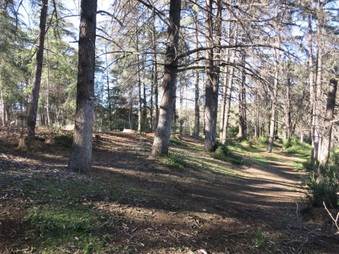 Enlarge photo 31