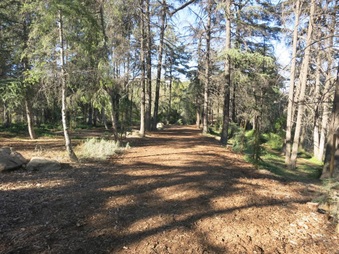 Enlarge photo 32