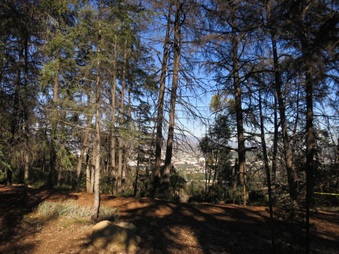 Enlarge photo 33
