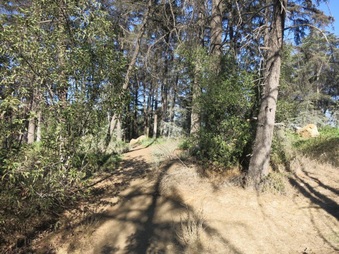 Enlarge photo 35