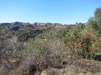 Enlarge photo 37