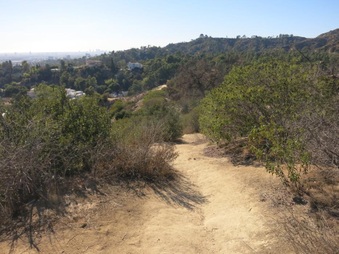 Enlarge photo 38