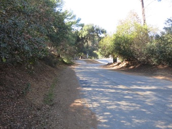 Enlarge photo 2