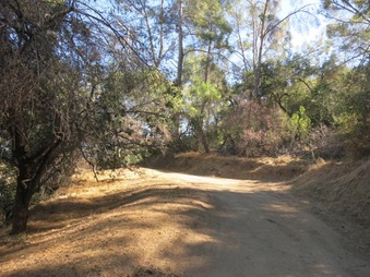 Enlarge photo 7