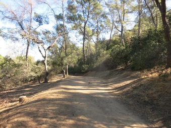 Enlarge photo 8