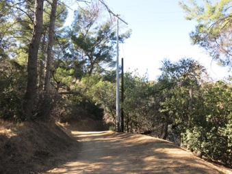 Enlarge photo 9