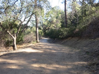 Enlarge photo 10