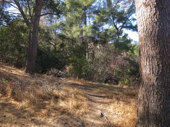 Enlarge photo 12