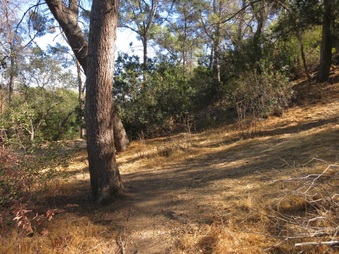 Enlarge photo 13