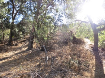 Enlarge photo 14