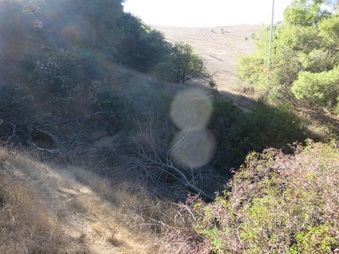Enlarge photo 15
