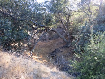 Enlarge photo 16