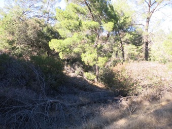 Enlarge photo 17
