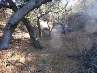 Enlarge photo 18