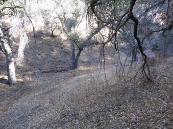 Enlarge photo 19