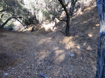 Enlarge photo 21