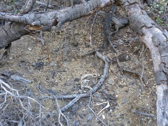 Enlarge photo 22