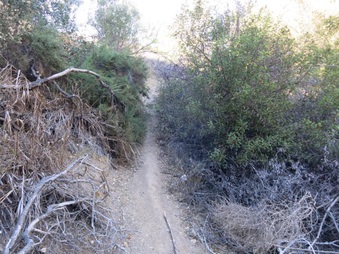 Enlarge photo 23