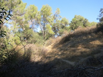 Enlarge photo 24
