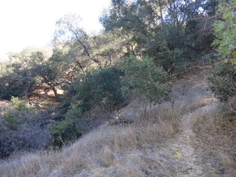 Enlarge photo 25