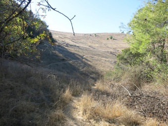 Enlarge photo 26