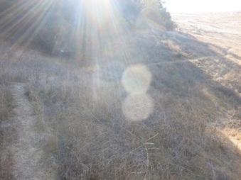 Enlarge photo 27