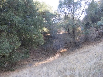 Enlarge photo 28