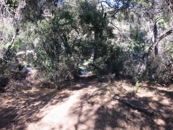Enlarge photo 31