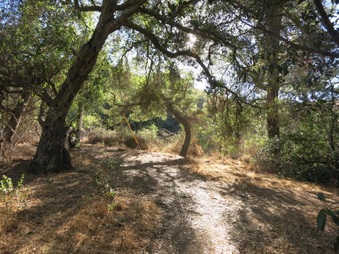 Enlarge photo 32