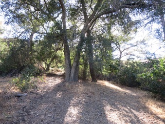 Enlarge photo 33
