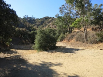 Enlarge photo 36