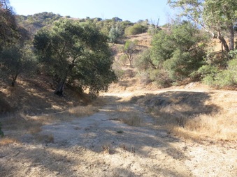 Enlarge photo 41