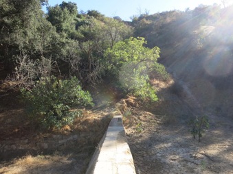 Enlarge photo 42