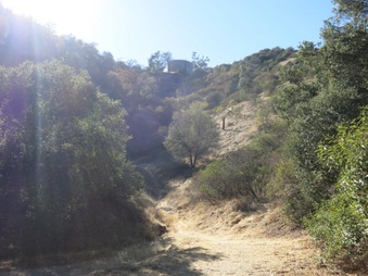 Enlarge photo 43