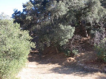 Enlarge photo 44