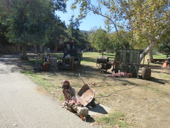 Enlarge photo 6
